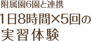 附属幼稚園6園と連携1日8時間×5回の実習体験