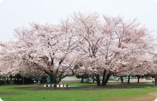 東越谷第二公園